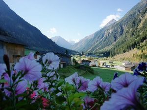 19356383-Ferienwohnung-6-Neustift im Stubaital-300x225-3