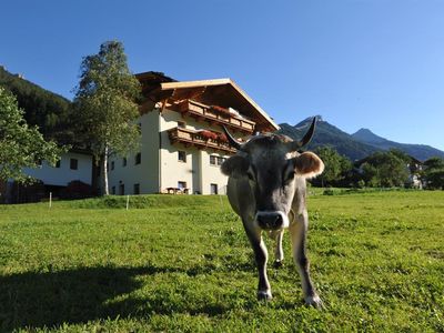 Untersillerhof Sommer