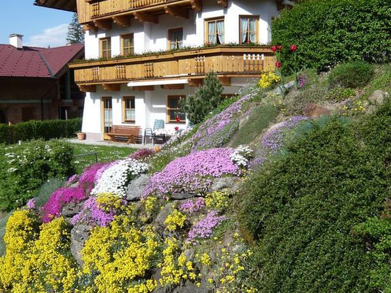 22608377-Ferienwohnung-4-Neustift im Stubaital-800x600-2