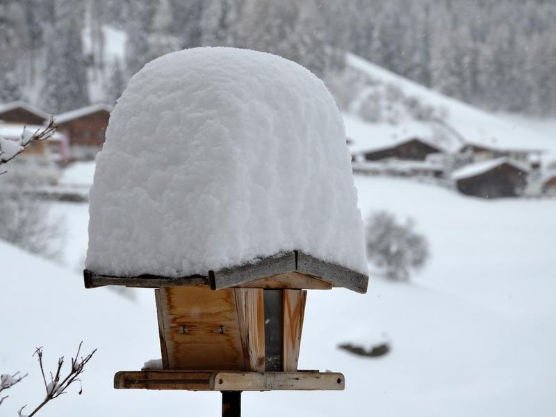 22608539-Ferienwohnung-5-Neustift im Stubaital-800x600-2