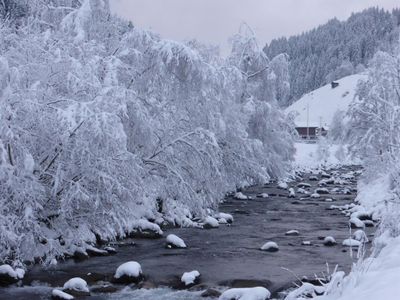 Winter am Haus 1