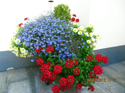 Blumenschmuck ums Haus