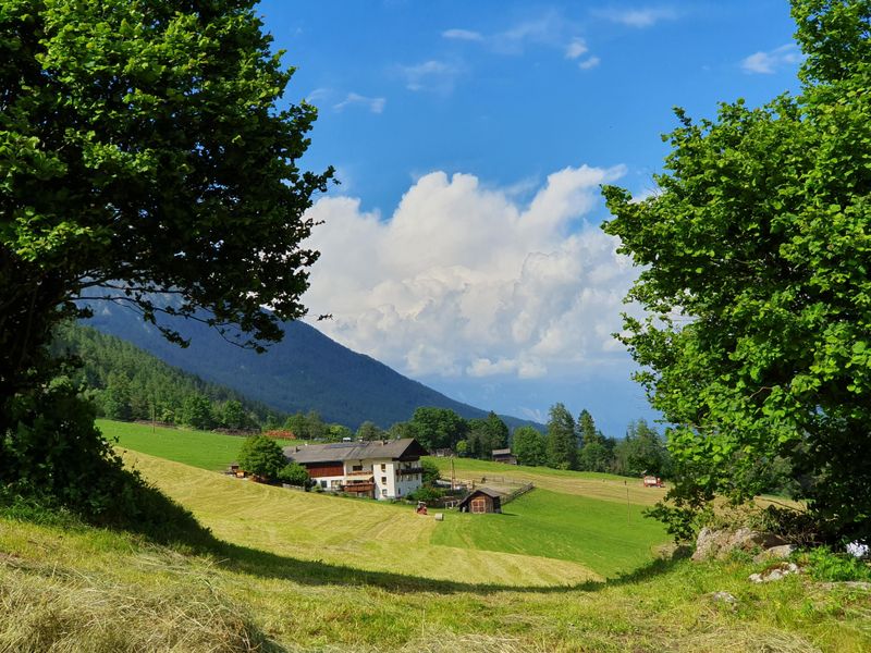 18381423-Ferienwohnung-4-Neustift im Stubaital-800x600-0