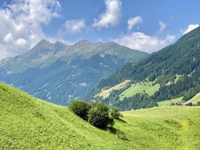 Ausblick aus der Wohnküche