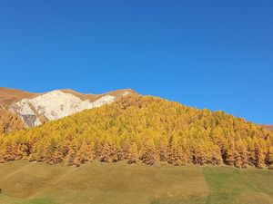 14263793-Ferienwohnung-4-Neustift im Stubaital-300x225-3