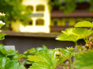 24038611-Ferienwohnung-4-Neustift im Stubaital-300x225-4