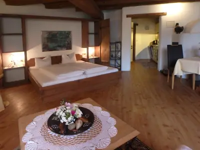 Wohn-Schlafzimmer