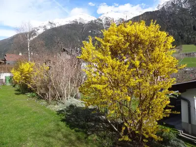 Frühling vor dem Haus