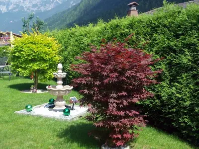 Mit Brunnen