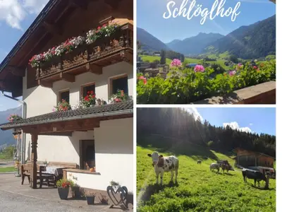 Schlöglhof 2