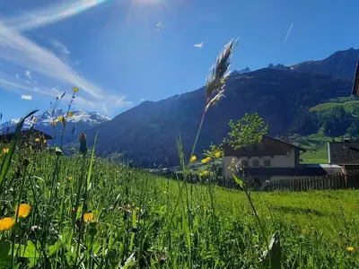 Ausblick