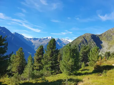 Etappe Neue Regensburgerhütte - Milderaunalm