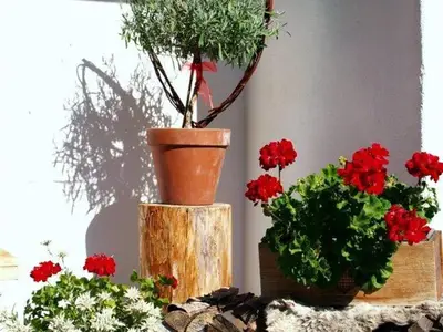 Foto 35