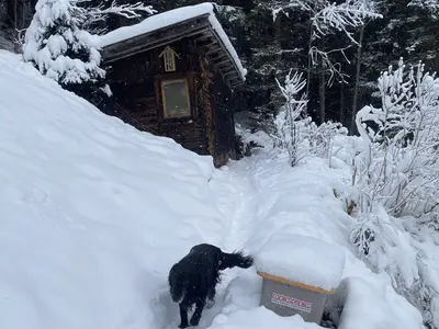 Der Winter-Weg vom Schuppen zurück.
