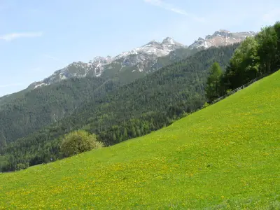 Blick zur Serles