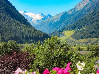 Ausblick Gletscher