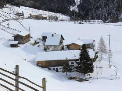 Winter