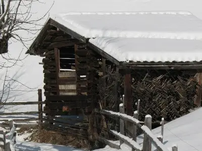 Winter 03