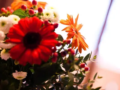 Blumen