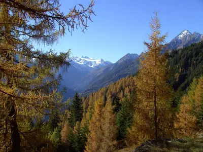 Gletscherblick