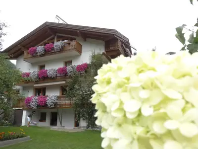 Blumenpracht