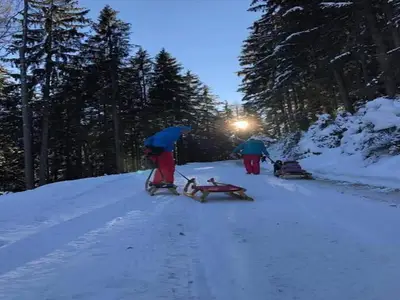 AreaWinter20KM