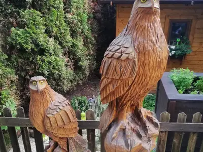Adler im Garten