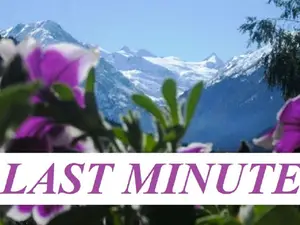 Ferienwohnung für 5 Personen (75 m²) in Neustift im Stubaital