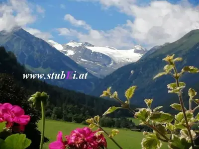 Aussicht vom Appartement Dobeja