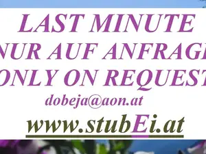 Ferienwohnung für 5 Personen (75 m²) in Neustift im Stubaital