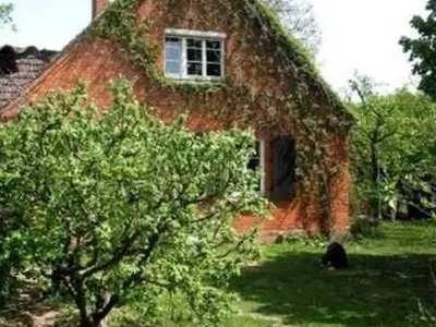 Ferienwohnung für 5 Personen (52 m²) in Neustrelitz 1/6