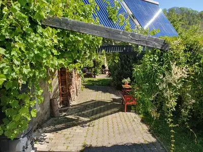 Ferienwohnung für 3 Personen (35 m²) in Rübeland 6/10