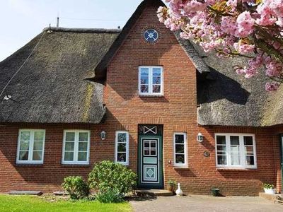 Ferienwohnung für 4 Personen (55 m²) in Nieblum 1/8