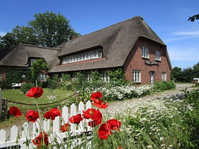 Ferienwohnung für 2 Personen (40 m²) in Nieblum 6/10