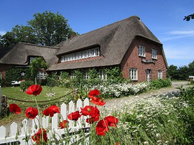 Ferienwohnung für 2 Personen (50 m²) in Nieblum 2/10