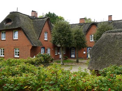 Ferienwohnung für 6 Personen (75 m²) in Nieblum 1/10