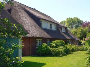 Ferienwohnung für 5 Personen (58 m²) in Nieblum