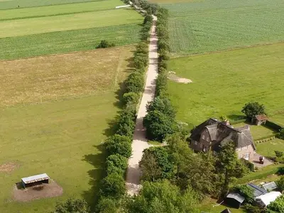 Ferienwohnung für 4 Personen (62 m²) in Nieblum 4/10