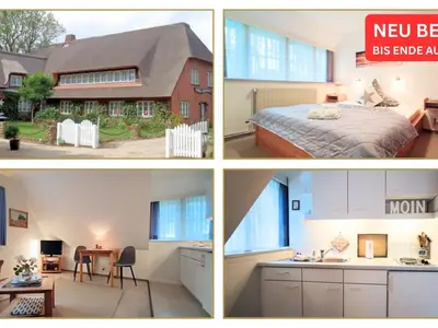 Ferienwohnung für 1 Person (32 m²) in Nieblum 1/10