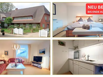 Ferienwohnung für 2 Personen (40 m²) in Nieblum 1/10