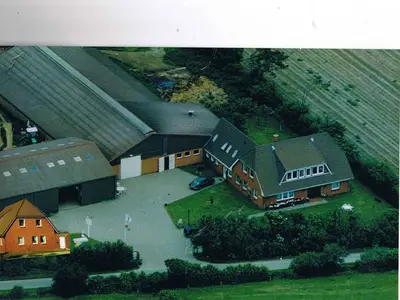 Ferienwohnung für 4 Personen (58 m²) in Nieblum 3/10