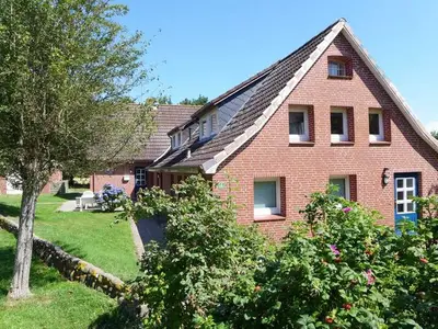 Ferienwohnung für 4 Personen (60 m²) in Nieblum 1/8