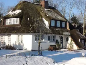 Ferienwohnung für 5 Personen (60 m²) in Nieblum