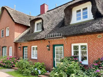 Ferienwohnung für 4 Personen (68 m²) in Nieblum 1/10