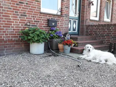 Ferienwohnung für 5 Personen (60 m²) in Nieblum 5/10