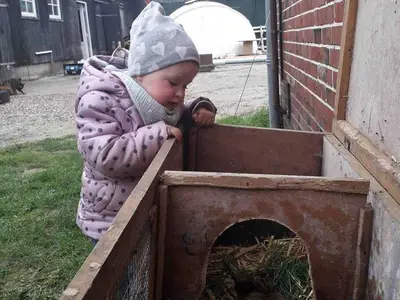 Ferienwohnung für 5 Personen (60 m²) in Nieblum 9/10