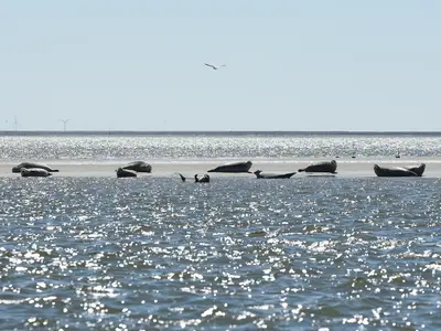 Ferienwohnung für 2 Personen (40 m²) in Nieblum 8/10