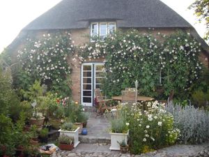 Ostterrasse mit Garten