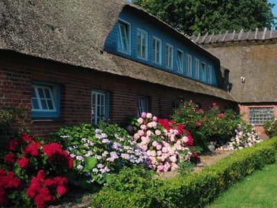 Ferienwohnung für 4 Personen (80 m²) in Nieby 4/10