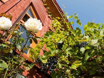 Ferienwohnung für 3 Personen (96 m²) in Nieby 6/10